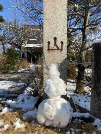 代替画像