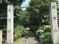 代替画像